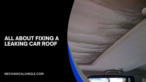 car roof leak repair|Water Leaking into Car from Roof: Causes and Fixes